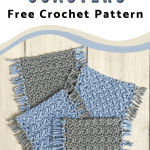 mug rug coaster set pinterest image